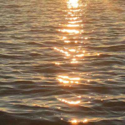 米乐网下载手机版